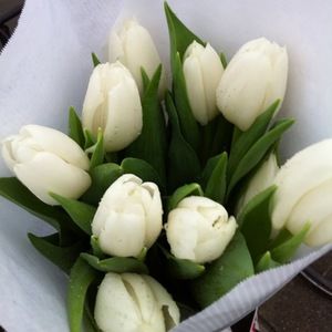 Meet your Posher, Emma